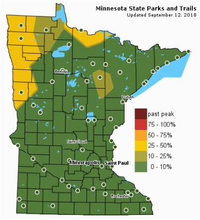 what keeps me up at night latest on florence startribune com