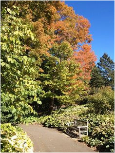 35 most inspiring minnesota landscape arboretum images autumn