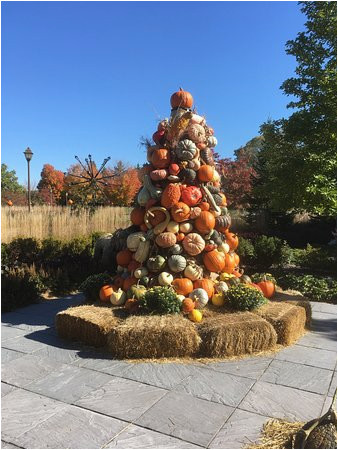 beautiful fall displays picture of minnesota landscape arboretum