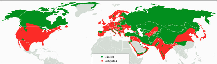 list of gray wolf populations by country wikipedia