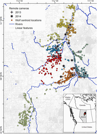 Minnesota Wolf Population Map | secretmuseum