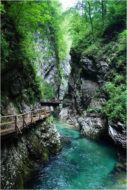 oneonta gorge multnomah county oregon hikes pinterest