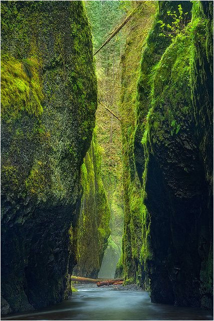 oneonta green love this world pinterest oregon usa beautiful