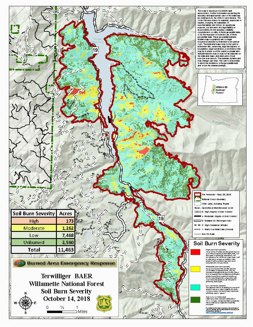 willamette national forest fire management
