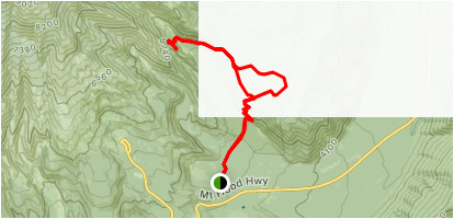 gnarl ridge and elk meadows trail loop oregon alltrails