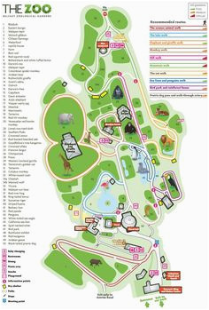 the 20 most inspiring zoo map images zoo map chart design graph