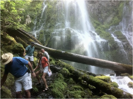 lower proxy falls picture of proxy falls sisters tripadvisor