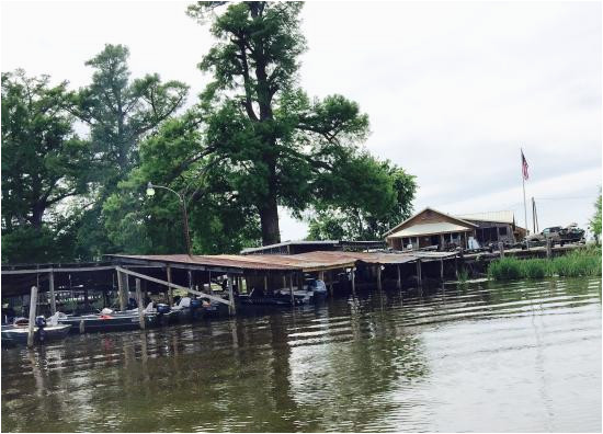 view of gray s camp dock from our boat picture of reelfoot lake