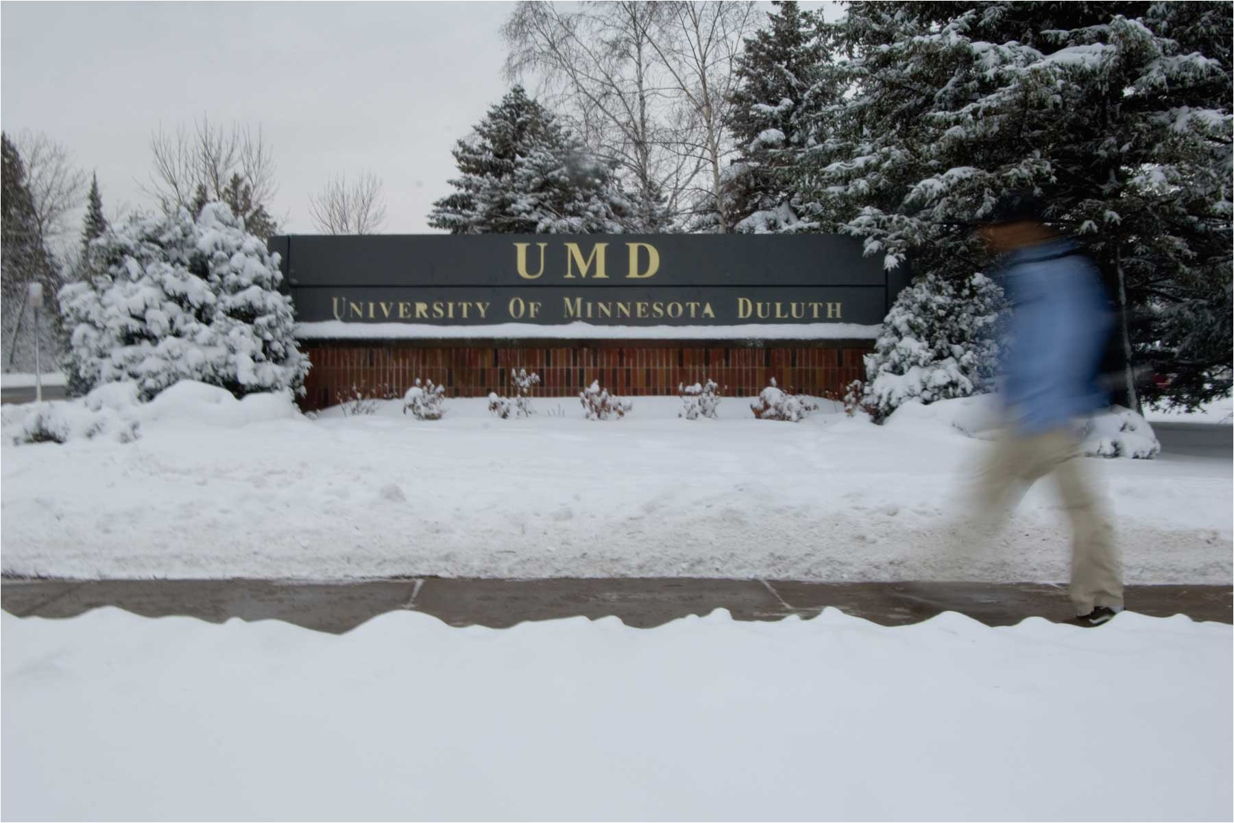 university of minnesota duluth
