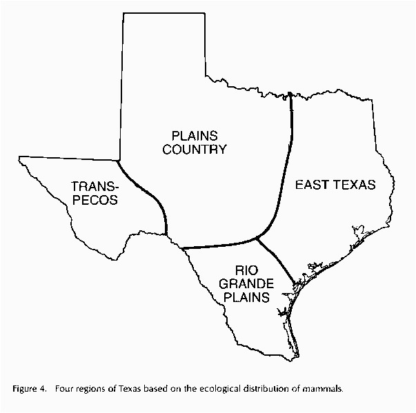 let s study texas history texashomeschool