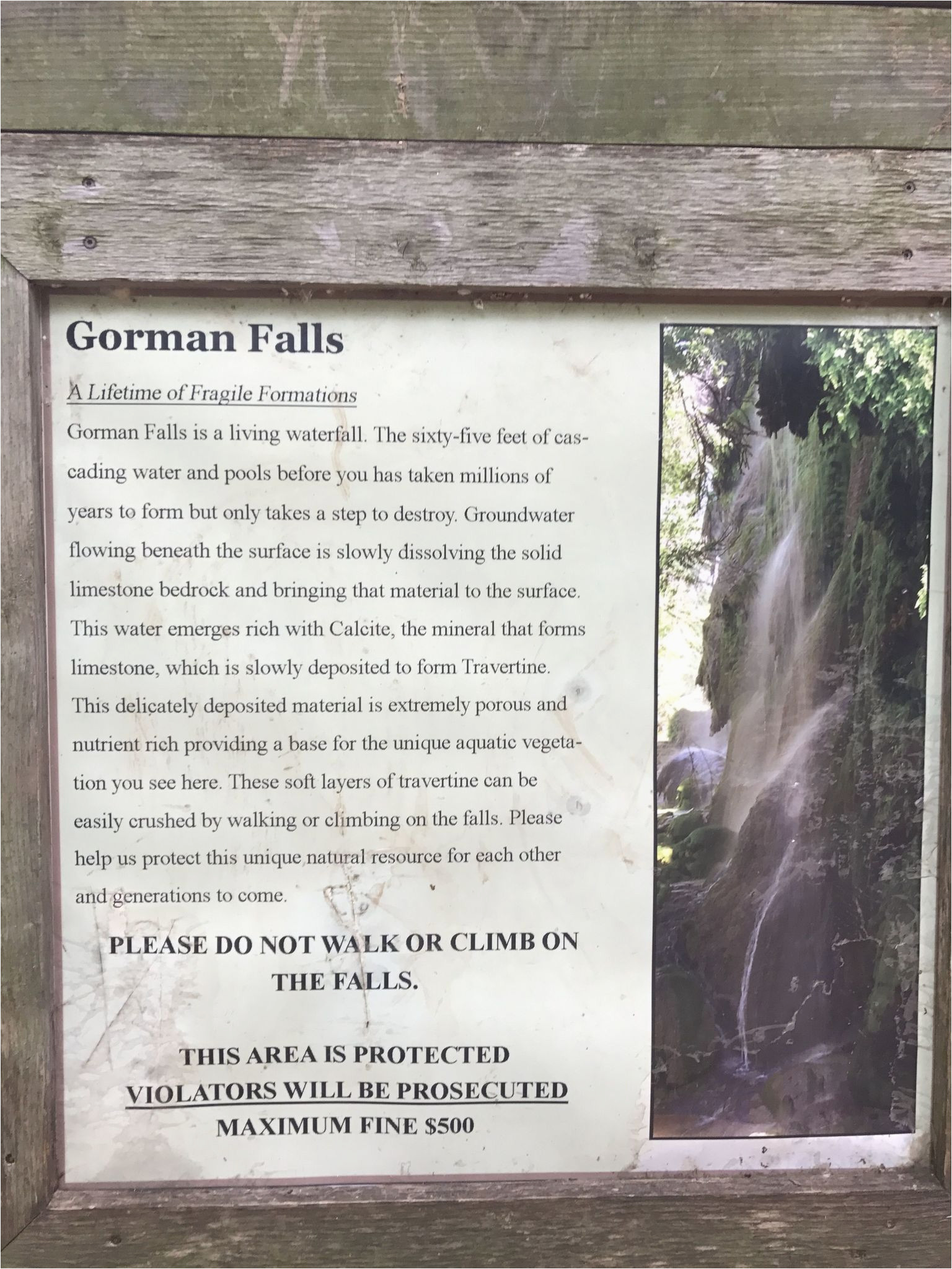gorman falls trail texas alltrails