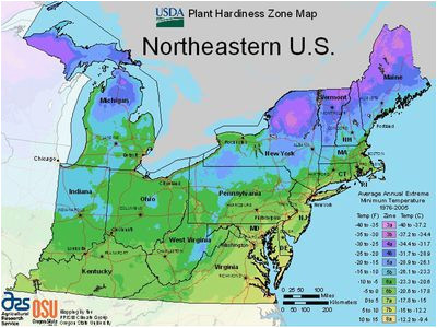 state maps of usda plant hardiness zones