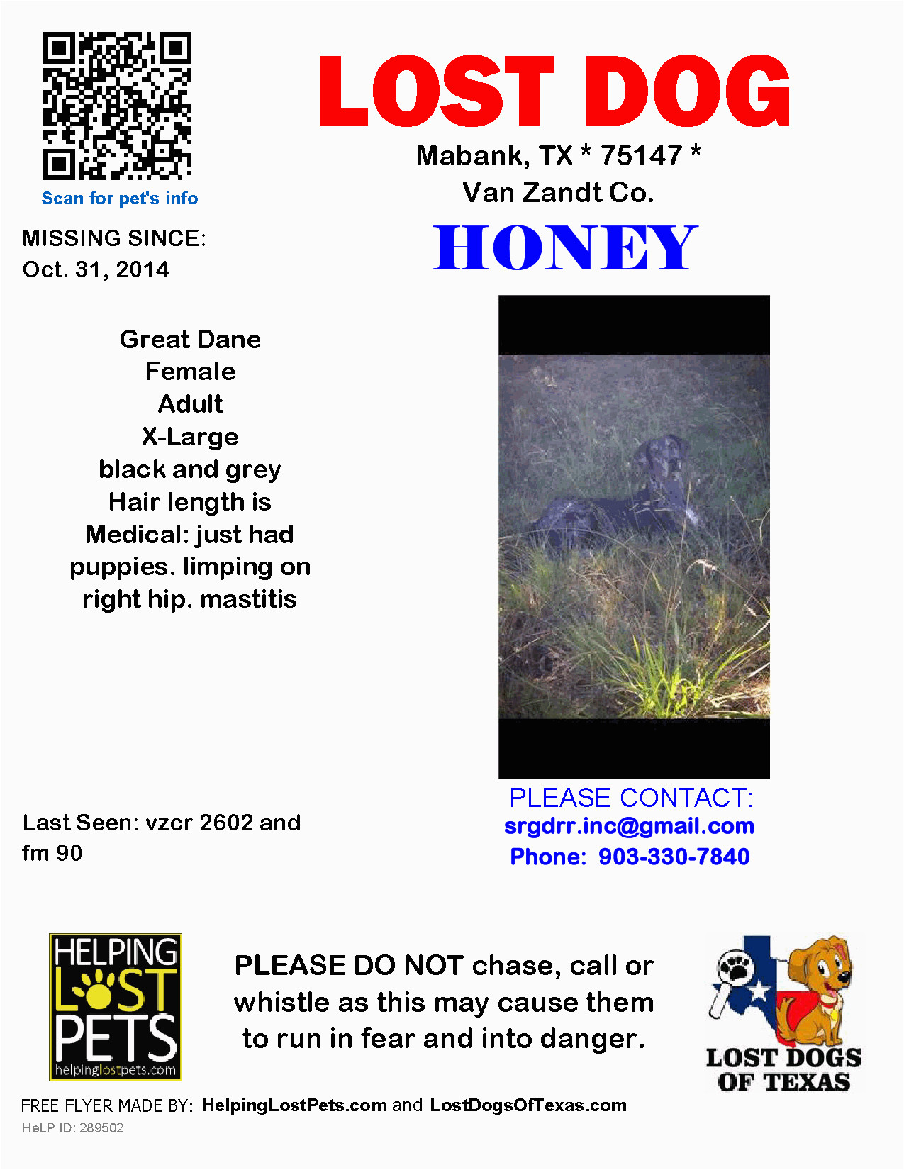 lost dog great dane mabank tx united states save rocky the