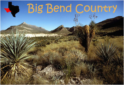 tpwd kids big bend country