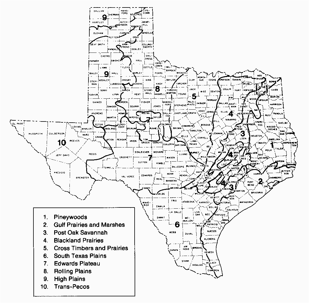 map of texas black and white sitedesignco net