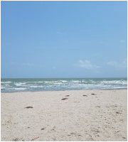 the 10 best texas gulf coast beaches with photos tripadvisor