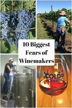 48 best minnesota wineries www minnesotawinepassport com images