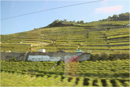 lavaux vineyard terraces map at the train station picture of