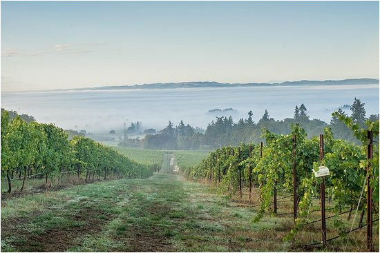 the 10 best dayton wineries vineyards with photos tripadvisor