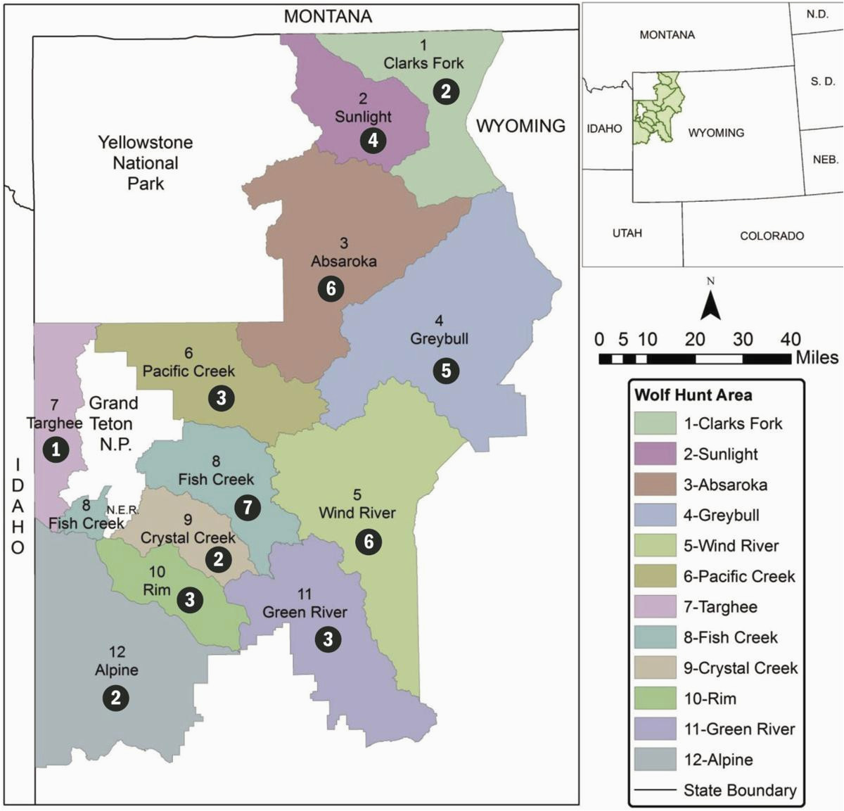 wyoming sets wolf population goal of 160 environmental