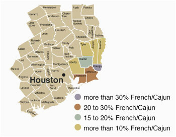 southeast texas county map business ideas 2013