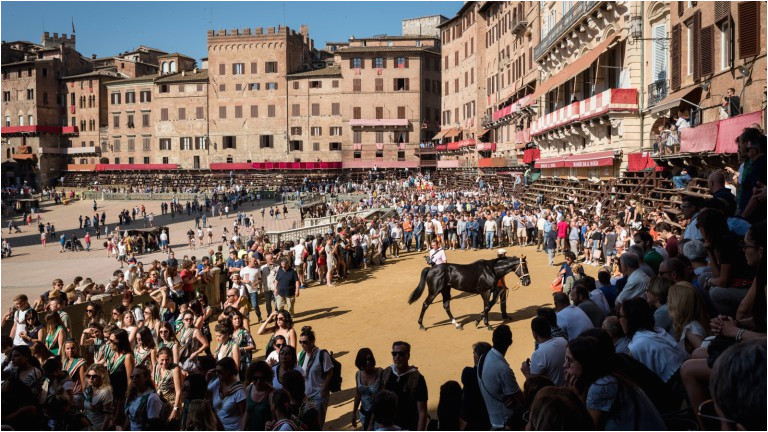the top 10 things to do in siena italy