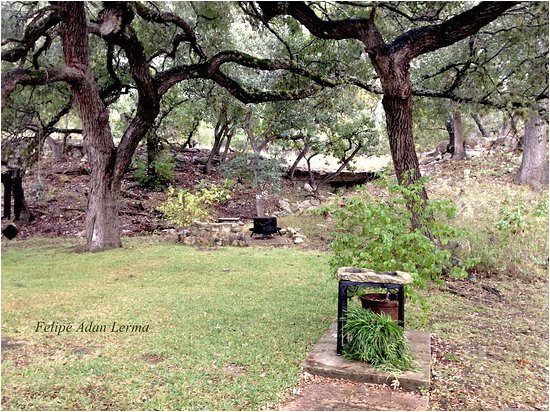 backyard area behind the house at the fig preserve picture of the