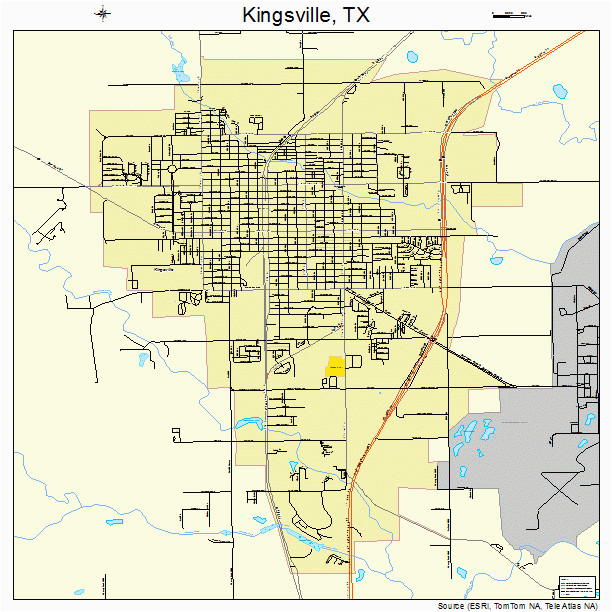 kingsville texas street map 4839352