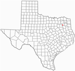 mineola texas wikipedia