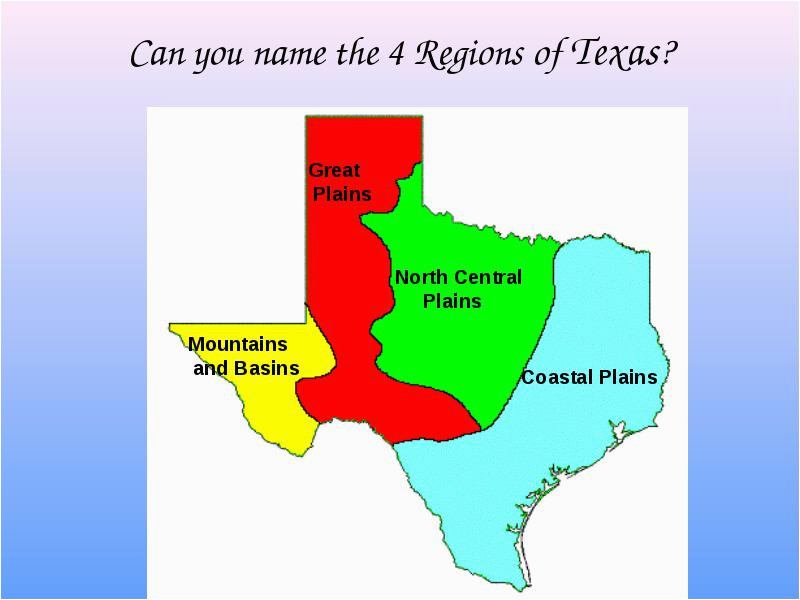 texas is a vast state made up of many different natural elements and