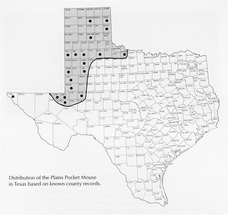 texas high plains map business ideas 2013