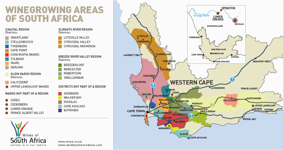 tracing terroir south africa s wine of origin system career
