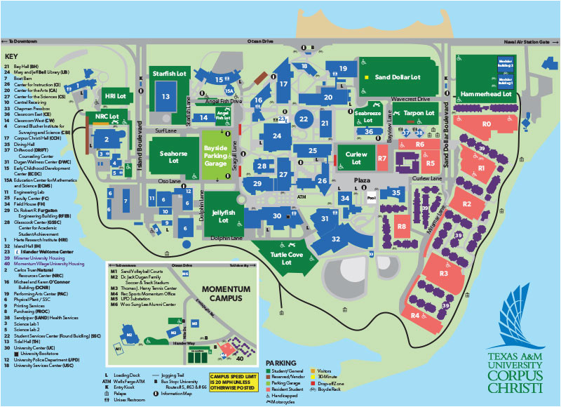 tamucc campus map camping map