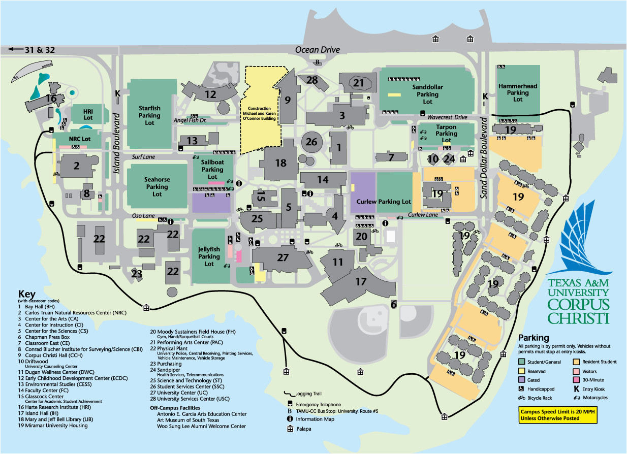 tamucc campus map camping map