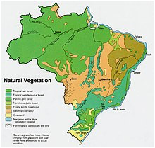caatinga wikipedia