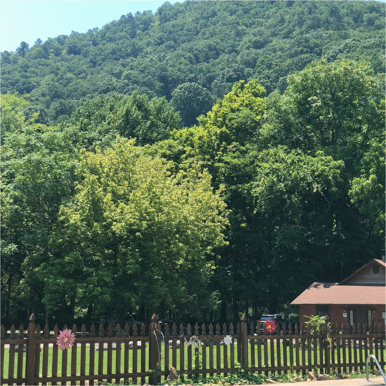 whispering river resort updated 2019 prices campground reviews