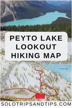 peyto lake map of the overlook hiking trail along the