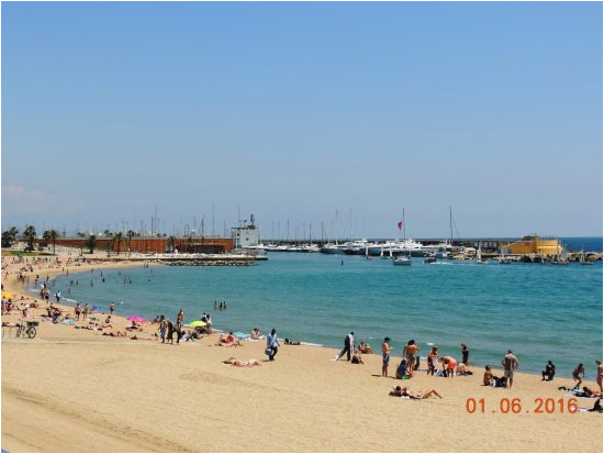 nova mar bella beach barcelona 2019 all you need to know before