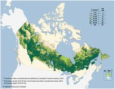 15 best canadian boreal forest images in 2012 july 11