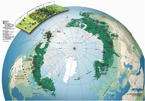 boreal forest map geography in 2019 forest map map