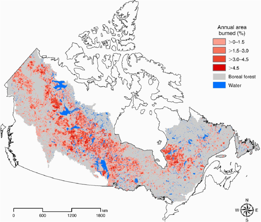 the boreal forest of canada in gray and the annual