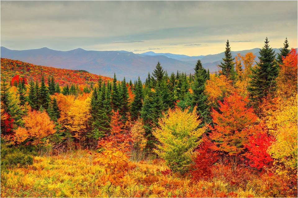 how to see new england fall foliage at its peak