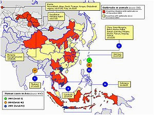 global spread of h5n1 wikipedia