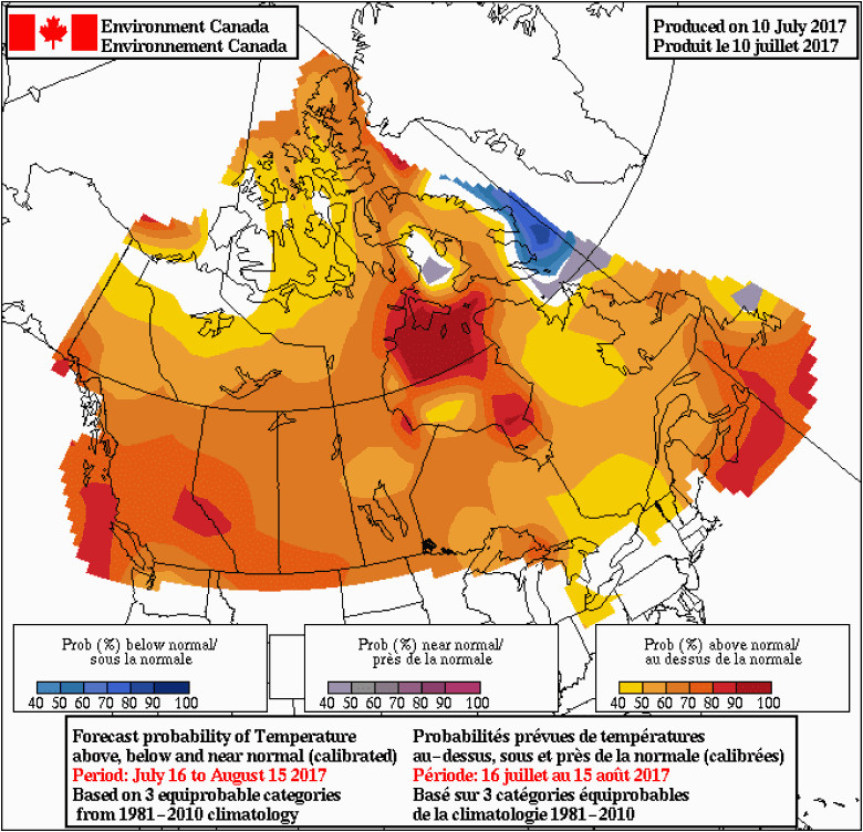 burning b c time to fight fire with fire says expert cbc news