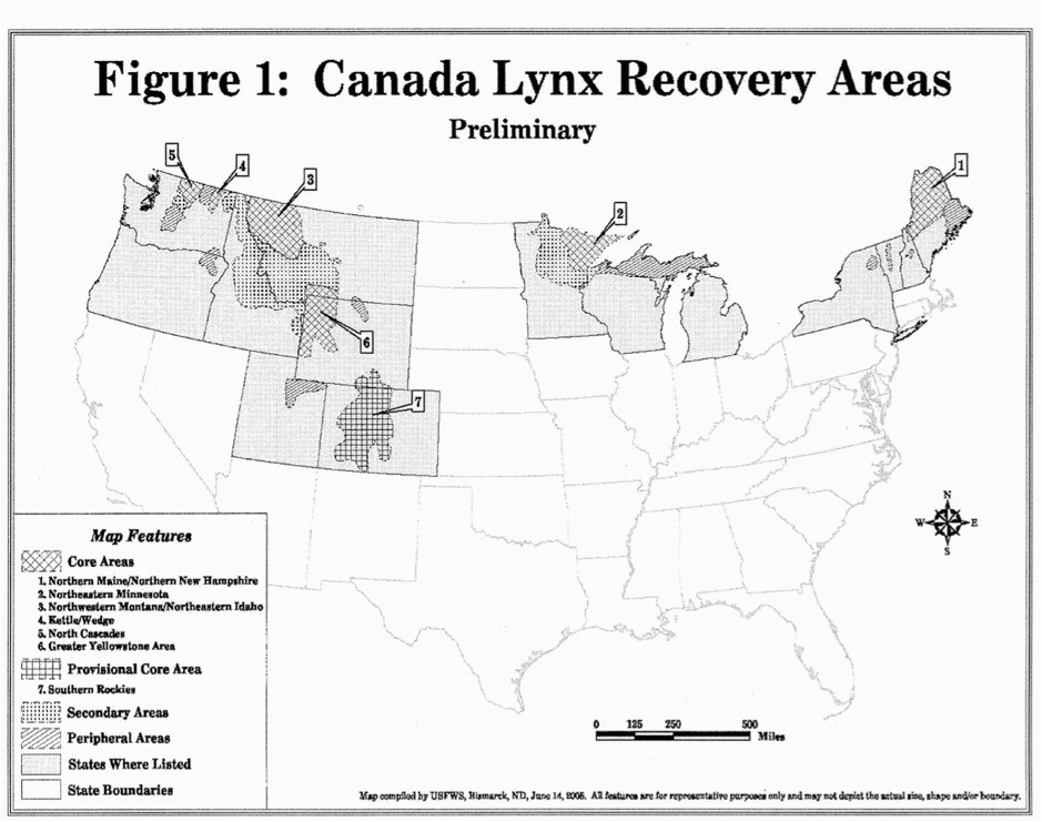 group 7 the canada lynx kate lovsted