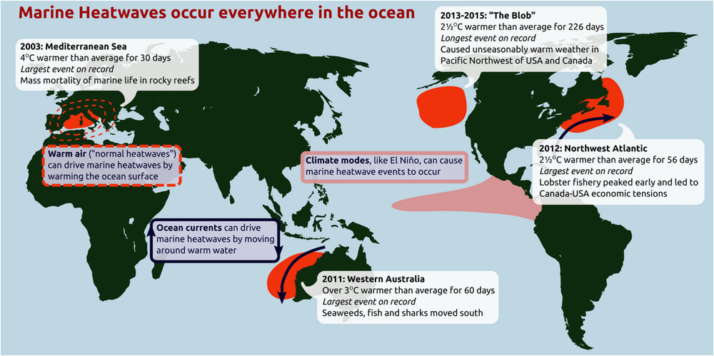 ocean heatwaves are getting longer and more intense