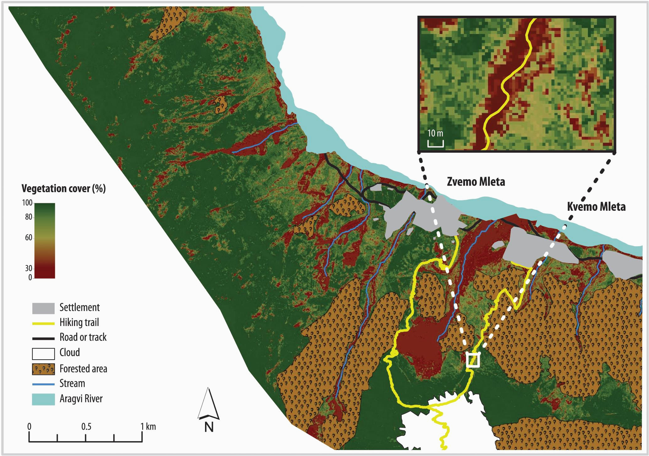 estimating vegetation cover from high resolution satellite