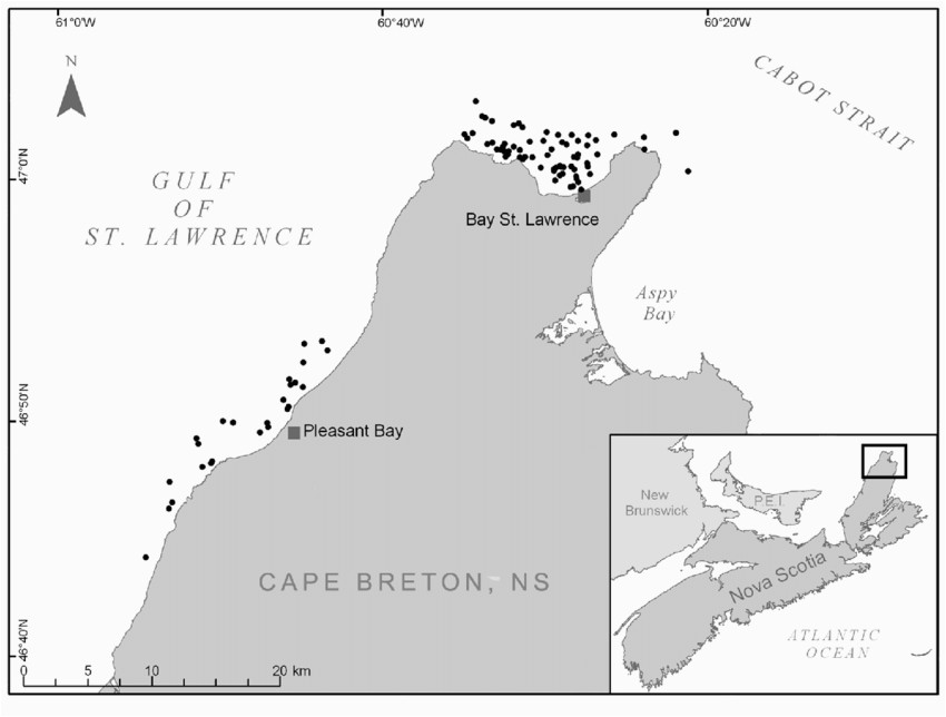 2 map of the northwest tip of cape breton island nova