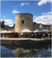 the 10 best ile de france castles with photos tripadvisor