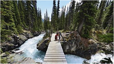 trekking im yoho nationalpark in kanada die besten tipps